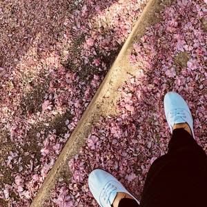 Meet your Posher, Nabiha